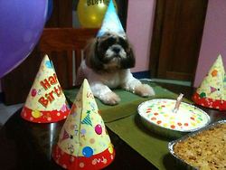 My love's 1st ever Birthday!